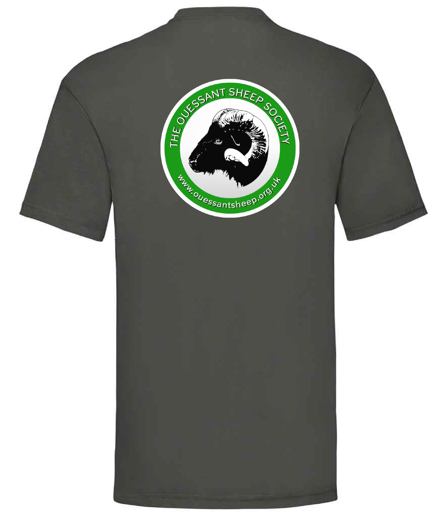Adult T-Shirt