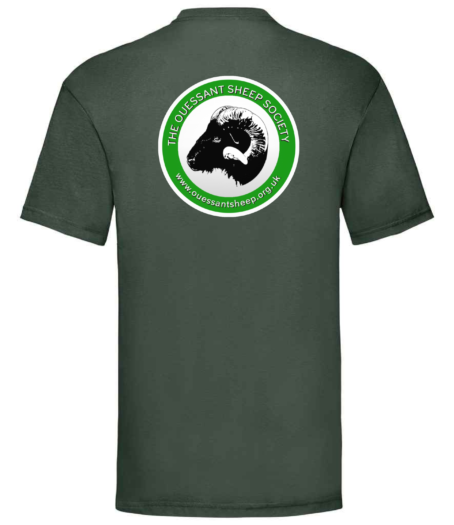 Adult T-Shirt