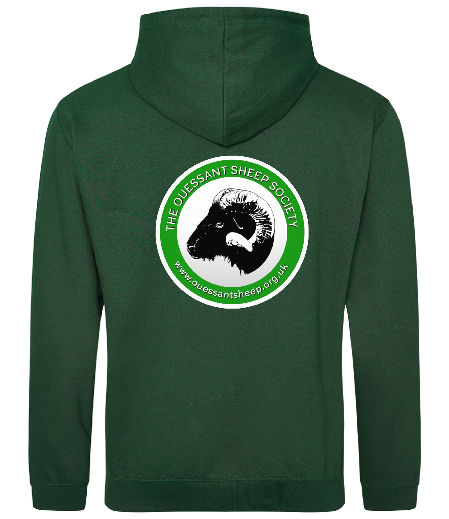 College Hoodie.