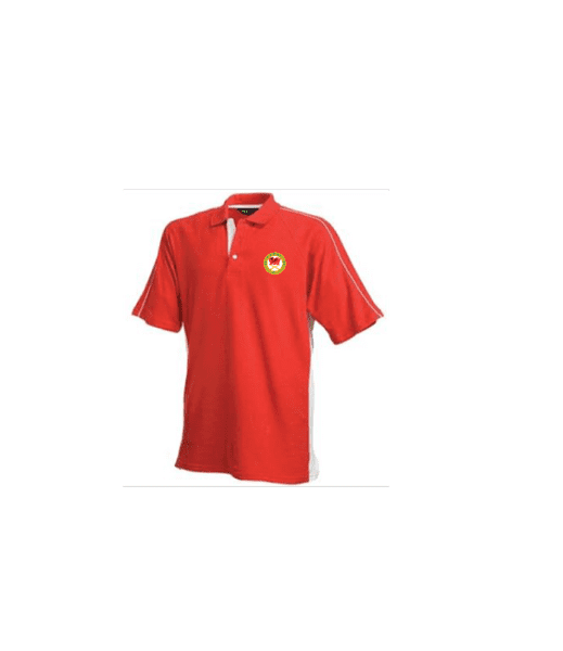 Mens Polo Shirt