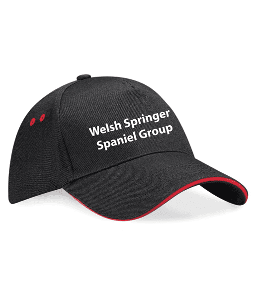 5-Panel Cap