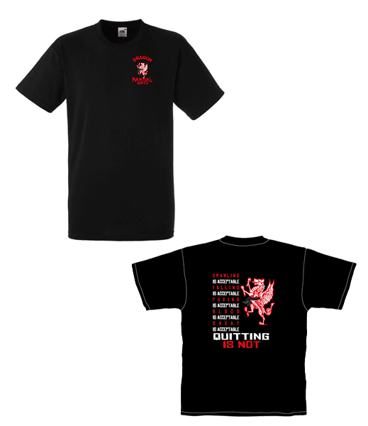 Adult T-shirt Design 2