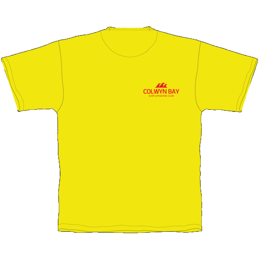 Adult Tee Shirt