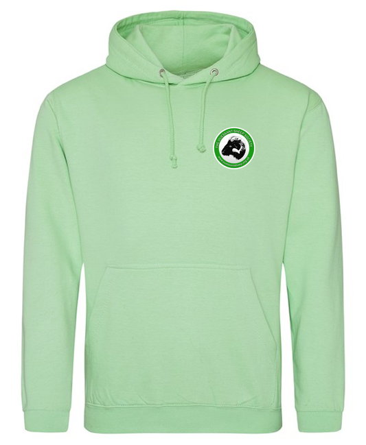 College Hoodie