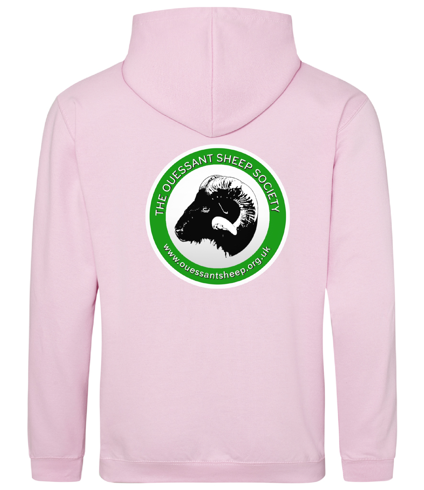 College Hoodie.
