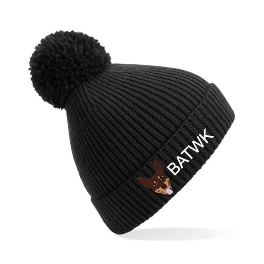 Beanie Hat with pom pom