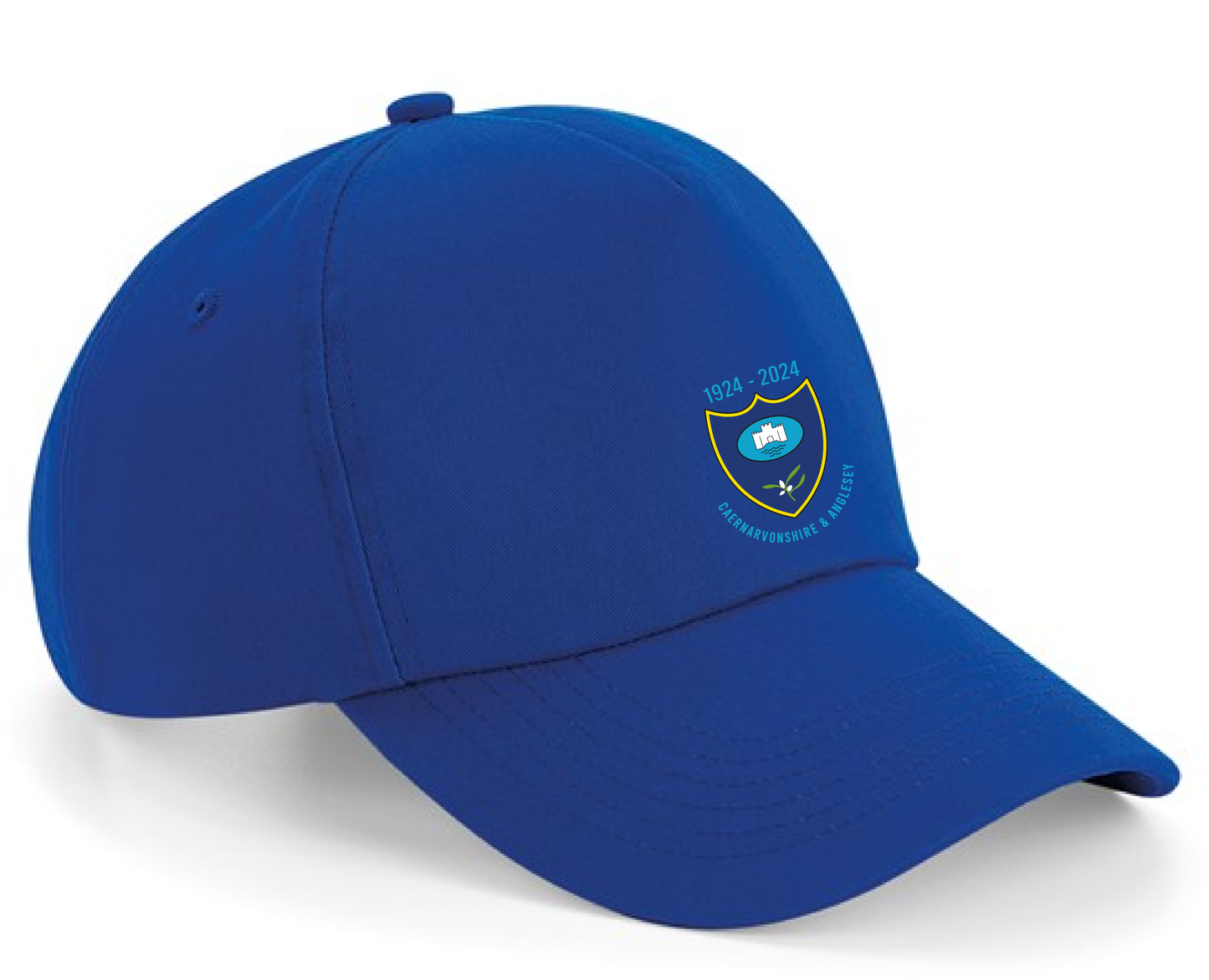 Authentic 5-panel cap - Available in other colours