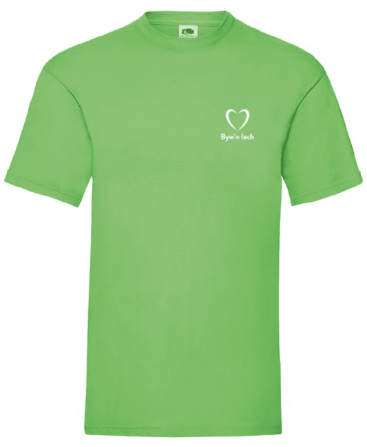byw'n iach men's Valueweight T