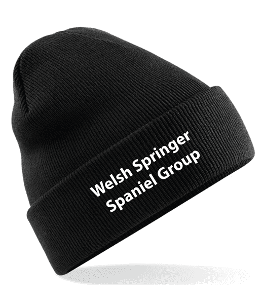 Cuffed Beanie