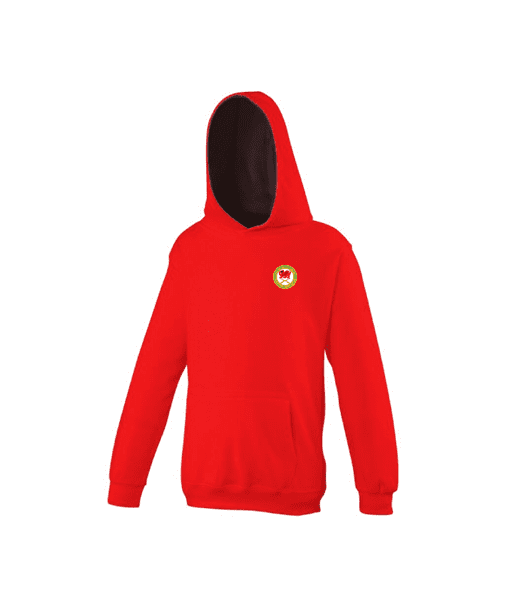 Kids Hoodie
