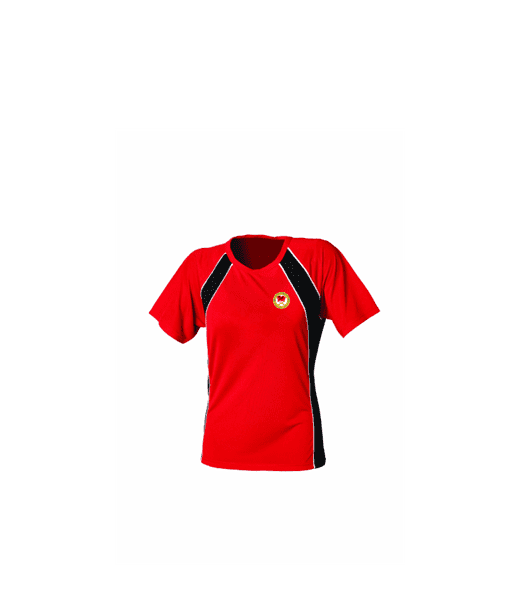 Ladies Tee Shirt