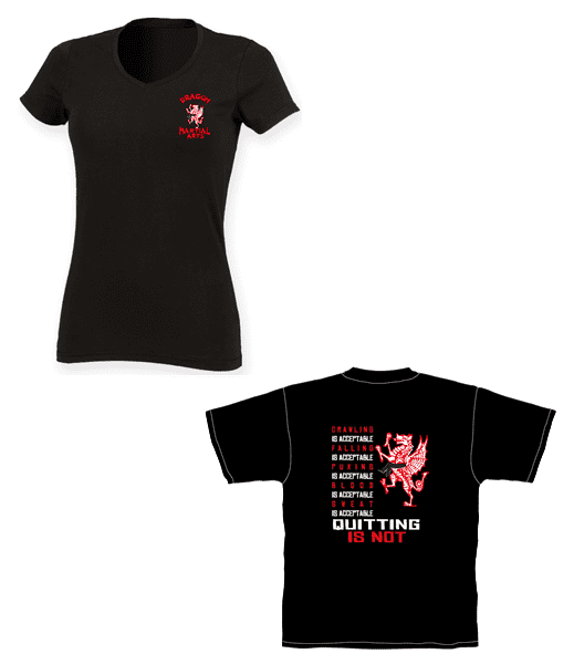 Ladies V-Neck T-shirt Design 2