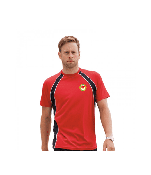 Mens Tee Shirt