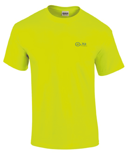 Ultra Cotton adult t-shirt