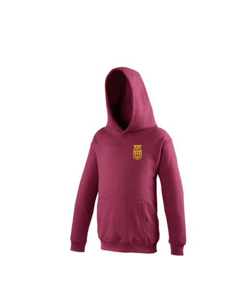 Youth Hoodie